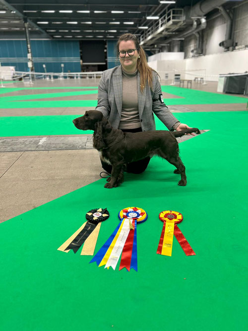 Blanche gewinnt die Stockholm Hundmässa, Photo: Therese Svensson