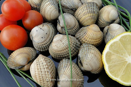 Herzmuscheln, Berberechos, Foto: Birgitta Kuihlmey