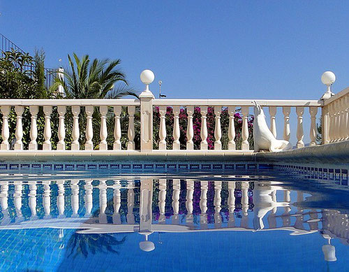 Ferienwohnung Valencia, Meerwasser-Pool mit Seehund, Bild vom 13.09.2011