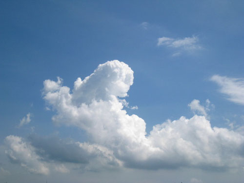 *よく見ると…恐竜雲かしら(笑) *