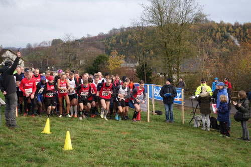 Ein großes Teilnehmerfeld beim Start der Langstrecke