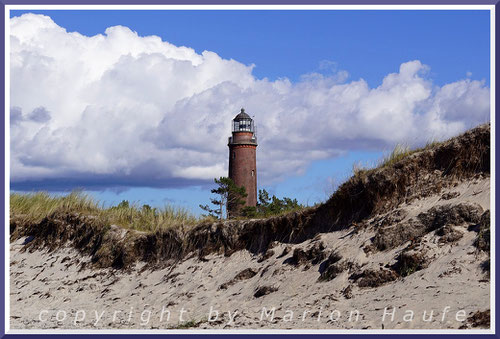 Wanderungen auf Fischland, Darß, Zingst