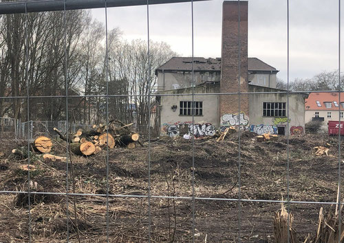 18.2.2024 - Die Ruine des Heizhauses.