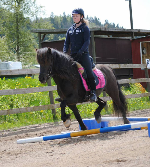 Evelina och Myrkva