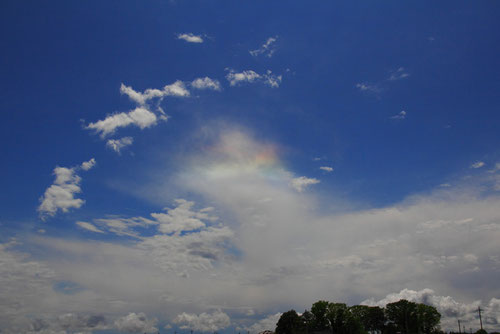 　また彩雲を見ることができた