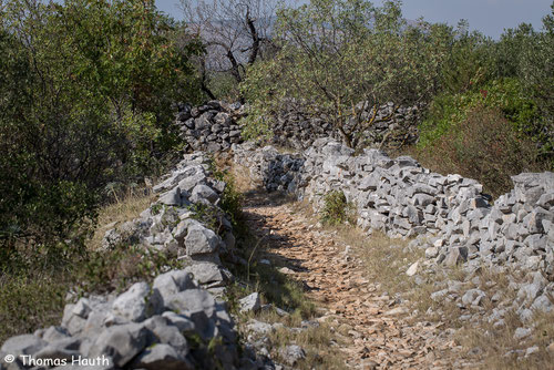 Auf diesem steinigen Weg geht es in das steinige Naturgebiet