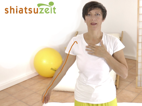 Shiatsu Praktikerin Katharina Grotte zeigt den Lungen Meridian Verlauf am Arm