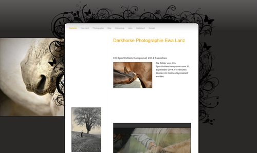 Homepageprojekt Darkhorse