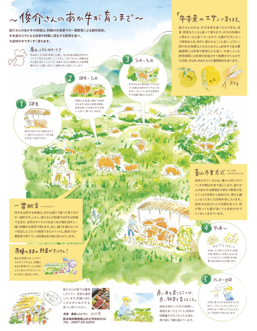 ▲熊本食べる通信　図解イラスト