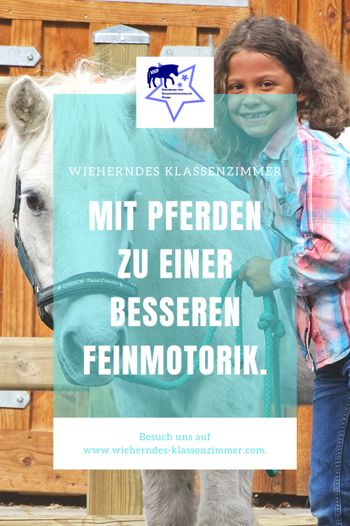 Stift im Griff! DAS Feinmotoriktraining mit Pferd - ein Konzept von Wieherndes Klassenzimmer - mit KKP zum Lernerfolg!