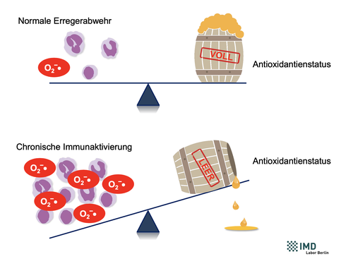 Vitalstofftherapie Potsdam