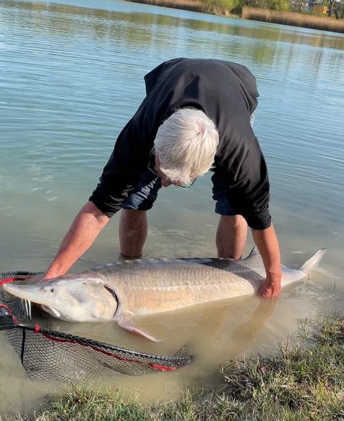 Hausen mit 160cm und 39kg