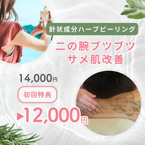 札幌 エステ 二の腕のブツブツ/毛孔性苔癬改善【スピキュール配合ハーブピーリング】
