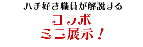 ハチ好き職員が解説する、コラボミニ展示！