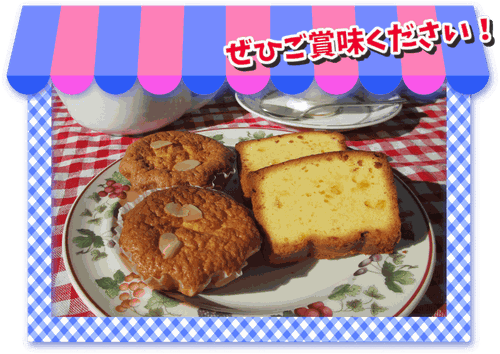 すてんぱれ パウンドケーキ マドレーヌ