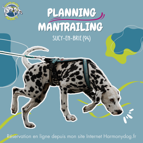 Planning Mantrailing Paris