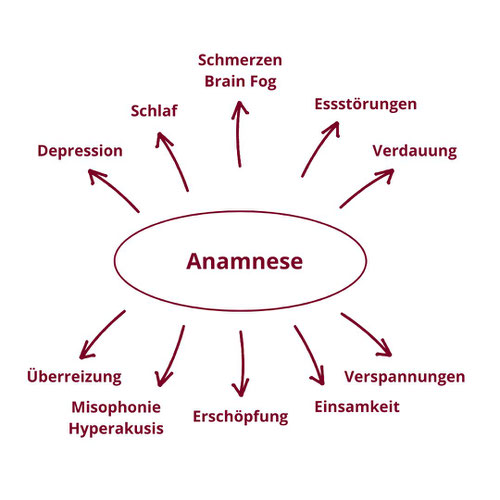 Infografik Anamnese