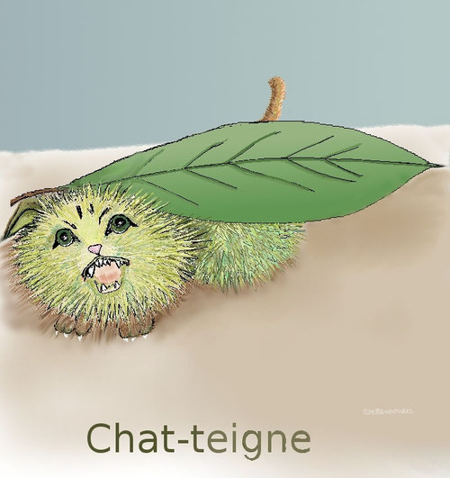 Les Chat Mot Chapitre Iii Site Jimdo De Atis Chaton