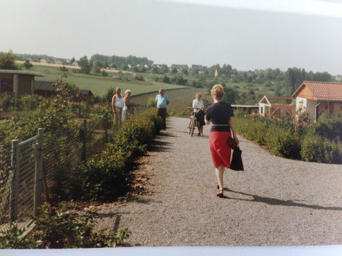 Gartenanlage Kleingärtnerverein Brühl e.V. 1984