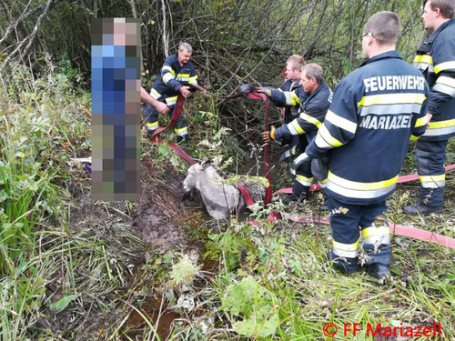 © Freiwillige Feuerwehr Mariazell
