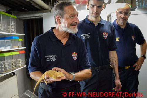 © Freiwillige Feuerwehr Wiener Neudorf/Derkits
