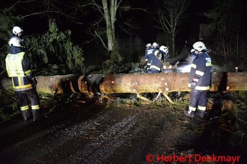 Feuerwehr; Blaulicht; BFKDO Urfahr-Umgebung; Sturm; Einsätze;