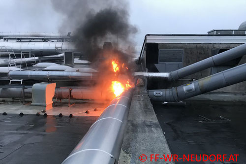 Feuerwehr; Blaulicht; FF Wiener Neudorf; Brand; Industrieanlage; Produktionshalle;