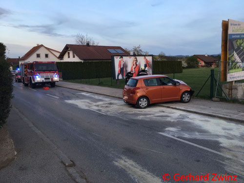Feuerwehr; Blaulicht; Ternitz; PKW; Unfall; Hauseinfahrt;