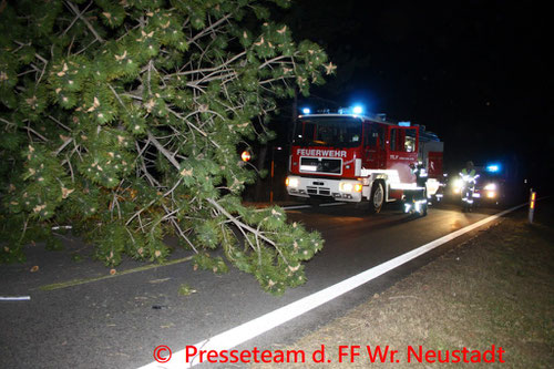 Feuerwehr; Blaulicht; FF Wiener Neustadt; Brand; PKW; Unfall; Grazerstraße;