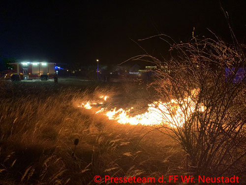 Feuerwehr; Blaulicht; FF Wiener Neustadt; Brand; Silvester; Müllinsel; Flurbrand;