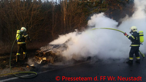 Feuerwehr; Blaulicht; FF Wiener Neustadt; PKW; Brand; Sturmschaden;
