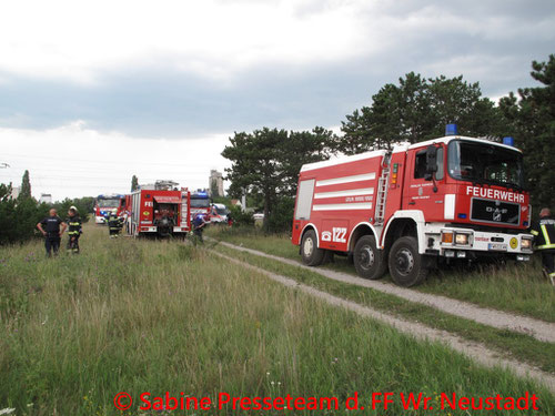 Feuerwehr; Blaulicht; FF Wiener Neustadt; Brand; PKW; Unfall; Grazerstraße;