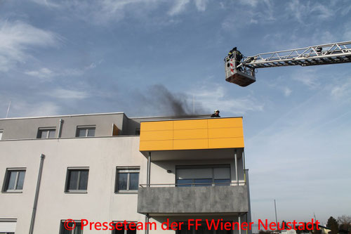 Feuerwehr; Blaulicht; FF Wiener Neustadt; Brand; PKW; A2;