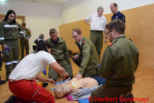 Feuerwehr, Blaulicht, Sturm, Einsätze, Urfahr-Umgebung, Baum, Anhänger, Metallteile