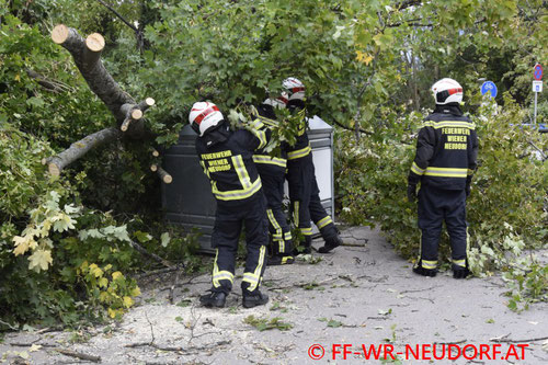 © Freiwillige Feuerwehr Wiener Neudorf