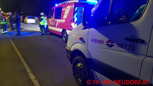 Feuerwehr; Blaulicht; FF Wiener Neudorf; PKW; Vorgarten; Unfall;