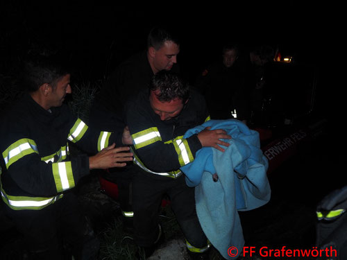 Feuerwehr, Blaulicht, FF Grafenwörth, Jungschwan, Verletzt, gerettet