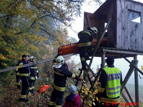 Feuerwehr; Blaulicht; FF Gaaden; Übung; Samariterbund Gaaden; Rettungshundestaffel Ebreichsdorf;