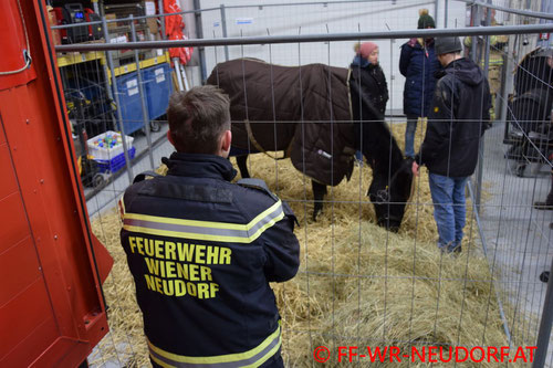Feuerwehr; Blaulicht; FF Wiener Neudorf; PKW; Vorgarten; Unfall;