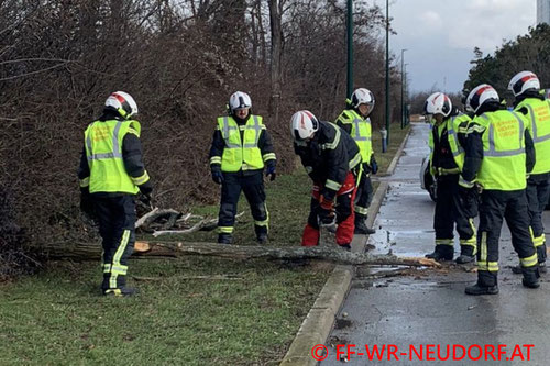 Feuerwehr; Blaulicht; FF Wiener Neudorf; Sturm; Sturmfront Petra;