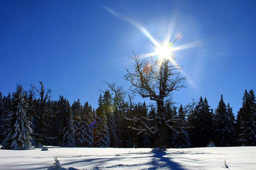 Winterpauschale Spuren im Schnee