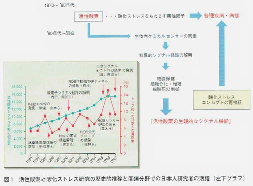 活性酸素と酸化ストレス研究