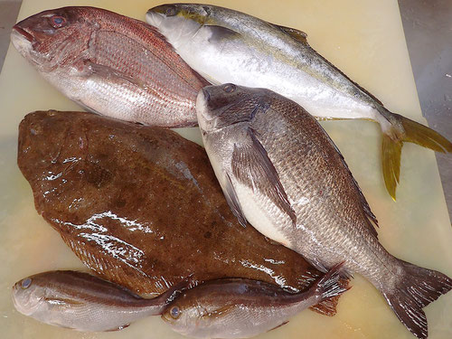 上五島　天然地魚