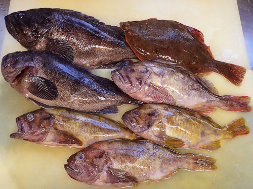 高級魚　出前　寿司　墨田区