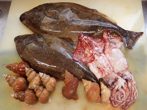 高級寿司 出前 予約 千代田区