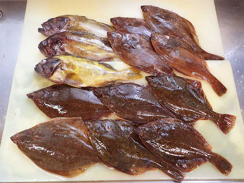 高級魚　出前寿司