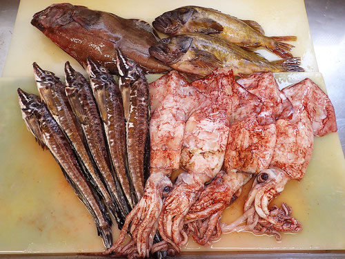 北海道は羅臼町の産地直送!天然地魚たちです!