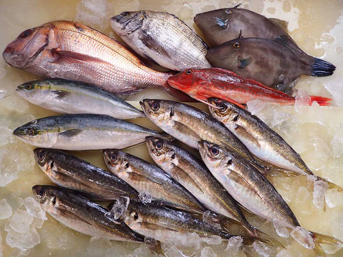 男鹿の魚　産地直送高級魚