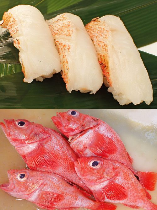 キチジ 高級魚 寿司 出前