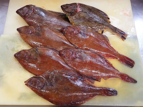 羅臼町　魚　漁業　未利用魚